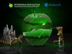 青苹果系统 Ghost Win 10 64位 极速专业版 V2021.12 官方优化特别版