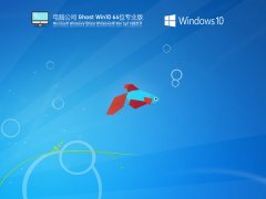 电脑公司 Ghost Win 10 64位 专业激活版 V2021.11 官方优化特别版