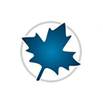 Maple 2022 专业的数学工程计算软件