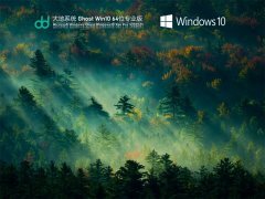 大地系统 Ghost Win 10 64位 免费专业版 V2022.01 官方特别优化版