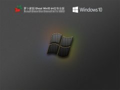 萝卜家园 Ghost Win 10 64位 优化专业版 V2022.01 官方特别优化版